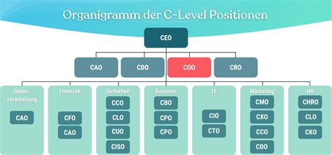 Chief Operating Officer Position - 8