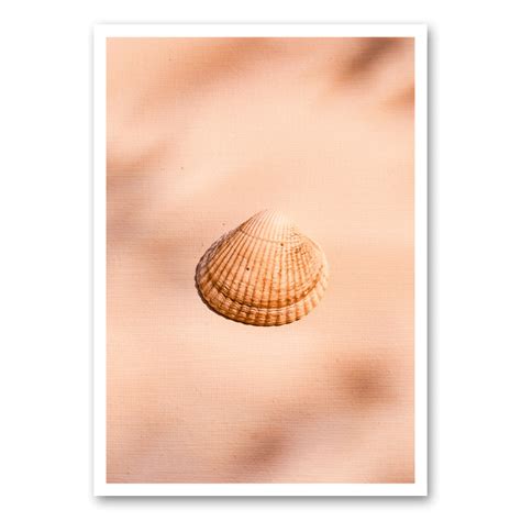 schelp mo ca   canvas