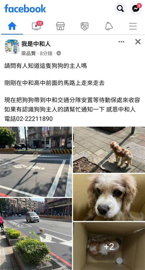 迷路找不到家！汪星人穿梭車陣險象生 中和暖警化身保母助返家