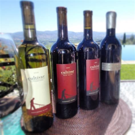 Caspar Estate - The Napa Wine Project