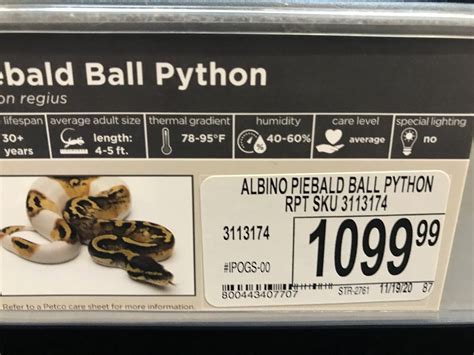 Outrageous Petco Prices - Ball Pythons - MorphMarket Reptile Community
