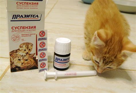 Празител для кошек и котят: инструкция по применению суспензии и ...