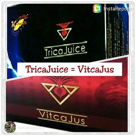 Vitcajus And Tricajuice 10 Fungsi Utama Mengembalikan Keja Flickr