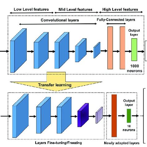 The Pipeline Of Transfer Learning From Imagenet Pre Trained Cnn Models