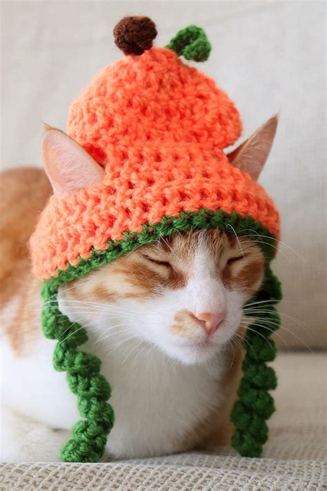 Pumpkin Hats For Cats Pawsomecrochet
