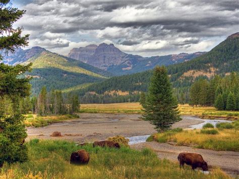 Exploring Wyomings Spectacular Scenery And Wildlife In National