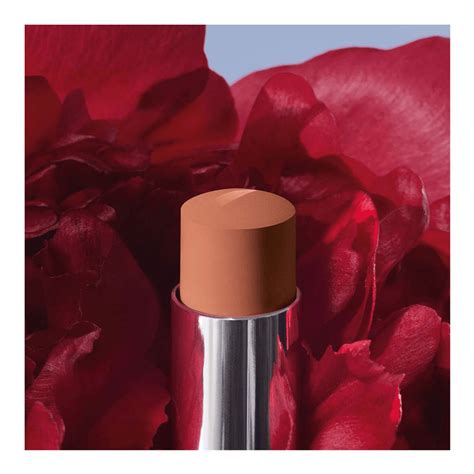 Rouge Dior Forever Lipstick Forever Nude Touch