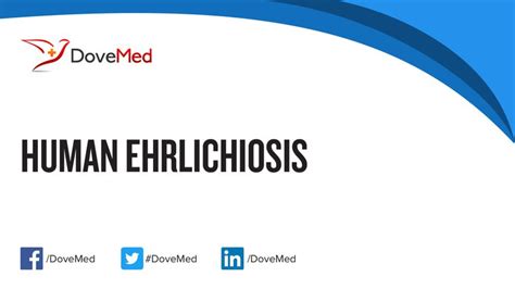 Human Ehrlichiosis