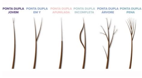 O Que Da Ponta Dupla No Cabelo - Pontas duplas no cabelo: porque acontece e como evitar