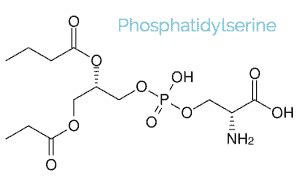 Phosphatidylserine Its Benefits Side Effects Dosage And Stacks