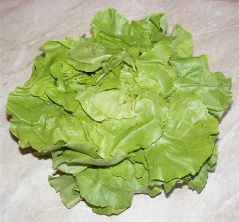 Smoothie De Salata Verde Preparatedevisro