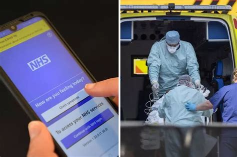 Felice Herrig Naked Moment UFC Star Drops Towel At Weigh In