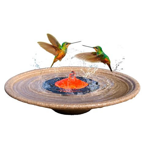 10 Hummingbird Water Fountains: Adding a Touch of Nature to Your Home ...