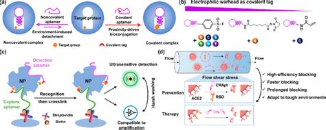 Covalent Aptamer Based Strategies For Detection And Functional Blocking