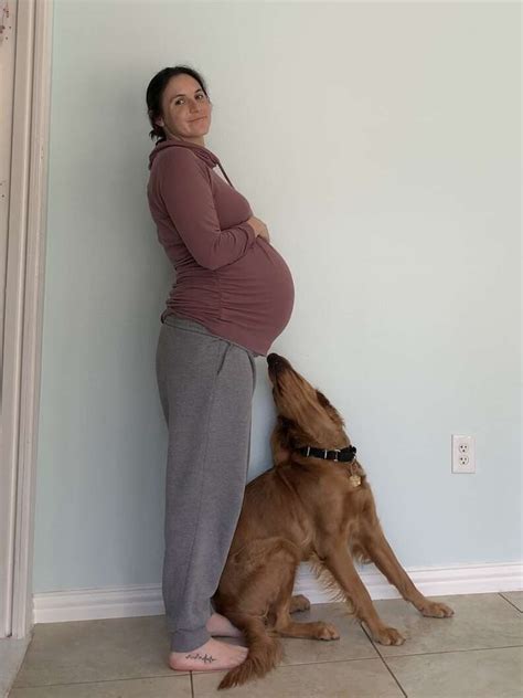 dogs    woman  pregnant
