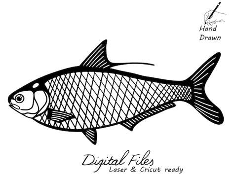 Gizzard Shad Hand Drawn SVG Clipart Laser Cut Shad Fish DXF Etsy