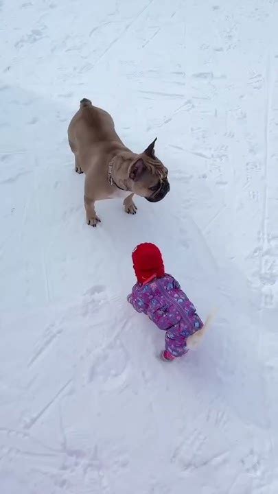 #music #dance Нетерпеливая и злая собачка - YouTube