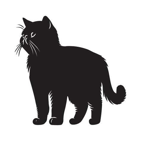 Exotic Shorthair cat silhouette - Exotic Shorthair logo - Cat Clipart