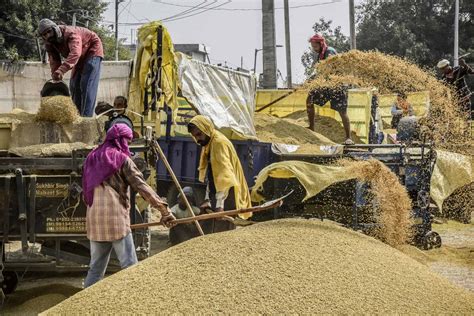 Why Did Iran Stop Importing Rice Tea From India Trends Mena