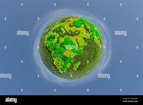 Planeta Tierra verde a partir de musgo natural Símbolo del desarrollo