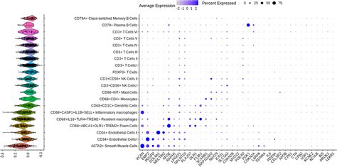 Sex Differences In The Genetic And Molecular Mechanisms Of Coronary Artery Disease Atherosclerosis