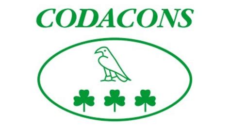 Codacons Che Scivolone Calendario Hot E I Consumatori Insorgono