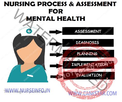 Nursing Process Nurse Info