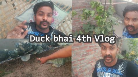 Duck Bhai New Vlogs In Rouf Daily Vlog Duck Bhai Vlogs YouTube