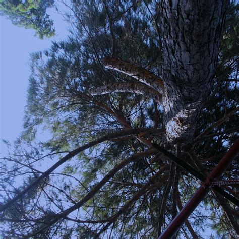 Stream Cigarettes After Sex Please don t cry by hiçbiri Listen online for free on SoundCloud