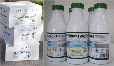 Кокцидиоз у кроликов: симптомы, лечение и профилактика (прививки для ...