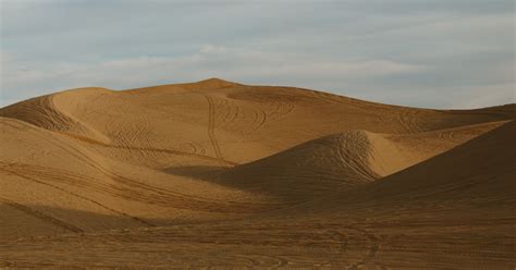 Explore the Algodones Sand Dunes, Algodones Dunes, CA