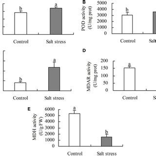 Activity Of A Superoxide Dismutase SOD B Peroxides POD C