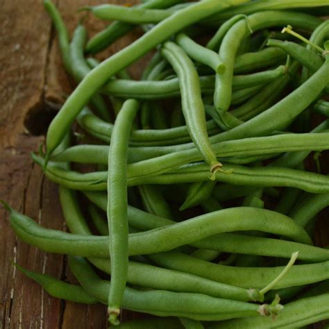 Heirloom Green Bean Seedssnap Bean Seeds Thresh Seed Co