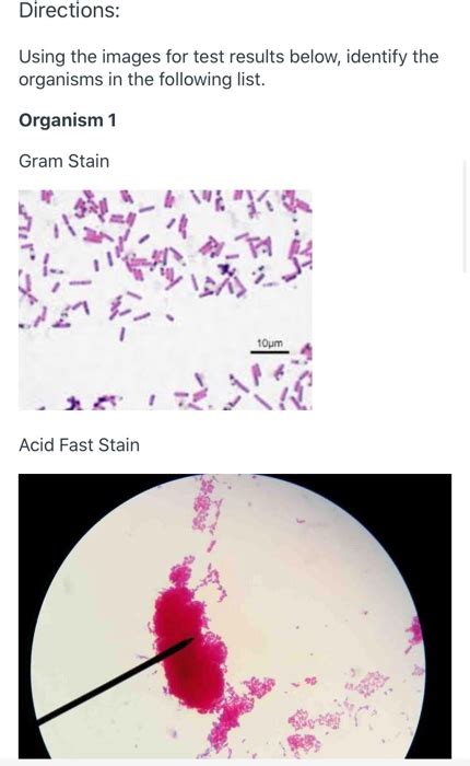 Solved Name Date Lab Section Laboratory Report Structural Chegg