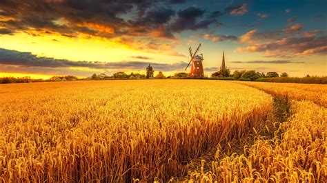 Windmill on Wheat Field at Sunset Wallpaper, HD Nature 4K Wallpapers ...