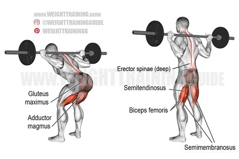 Good Morning Exercise With Dumbbells