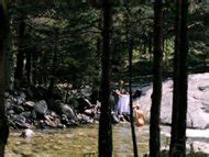 Naked Megan Dodds In The Contract