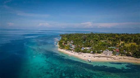 Bohol Pamilacan Island Dolphinturtle Watching Tour And Lunch Getyourguide