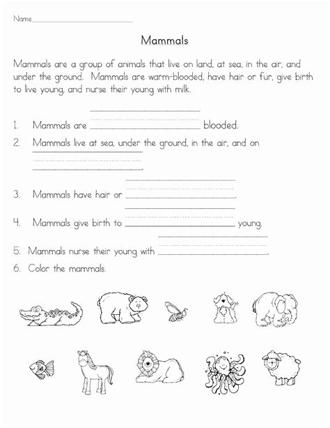 Mammals Worksheets For 2nd Grade Awesome Mammals Classroom Freebies
