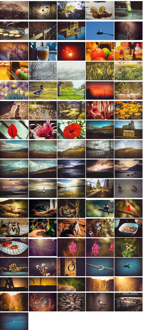 stock       emma rose