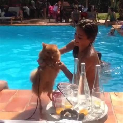 Raquel Mateo De Fama Celebrity Porn XHamster