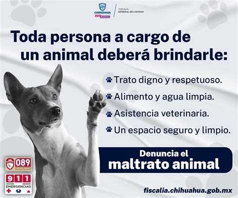 No al maltrato animal – Fiscalía General del Estado de Chihuahua