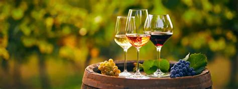 vin – Lille norske leksikon