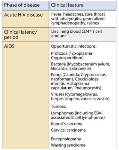 Immunodeficiency And Immunosenscence Flashcards Quizlet