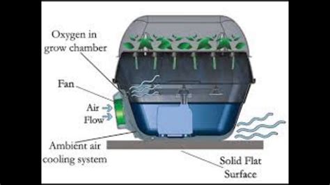 Clone King 36 Site Aeroponic Cloning Machine Youtube