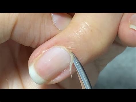 How To Cut Cuticles With Scissors For Cuticle Care How To Use Cuticle