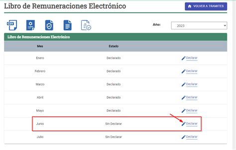 Declarar Libro Electronico De Remuneraciones Ayudaparacontadores