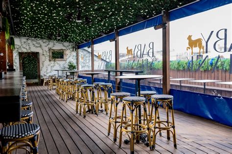 Events At Baby Shank Restaurant Washington Dc