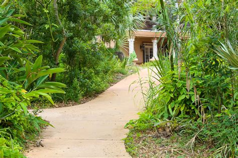 Sidewalk At Ormond Memorial Gardens Remy K Photography