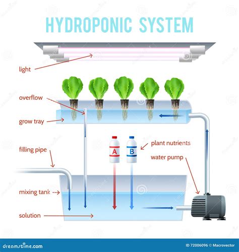 Hydroponics Infographic Set Vector Illustration CartoonDealer